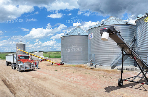 Unloading Bins and Hauling Grain 141569