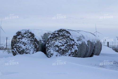 Round Bales in Snow 67192