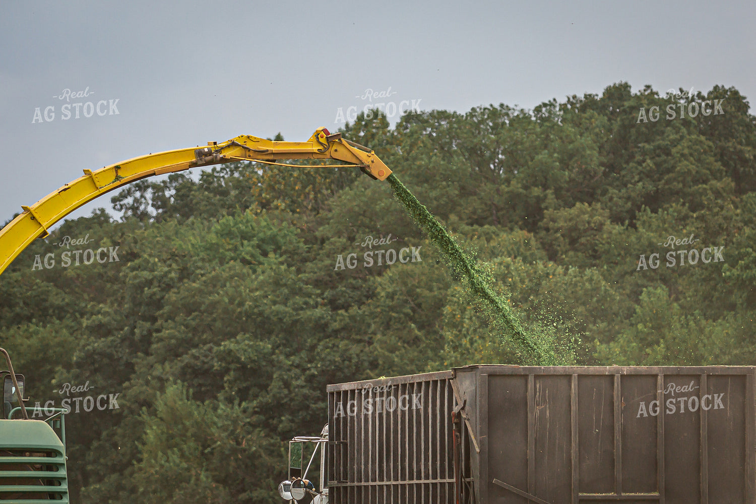 Cutting Corn Silage 270613