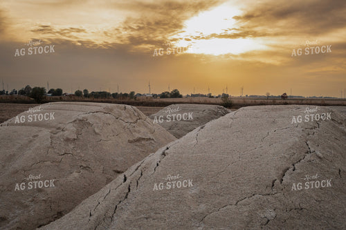 Lime Dry Fertilizer 289044