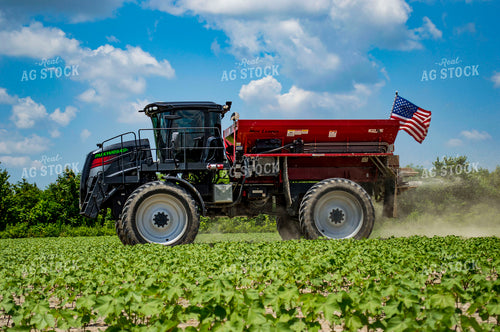 Spreading Dry Fertilizer in Cotton Field 136200