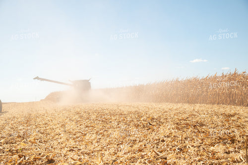 Combine Harvesting Corn on a Sunny Day 25914
