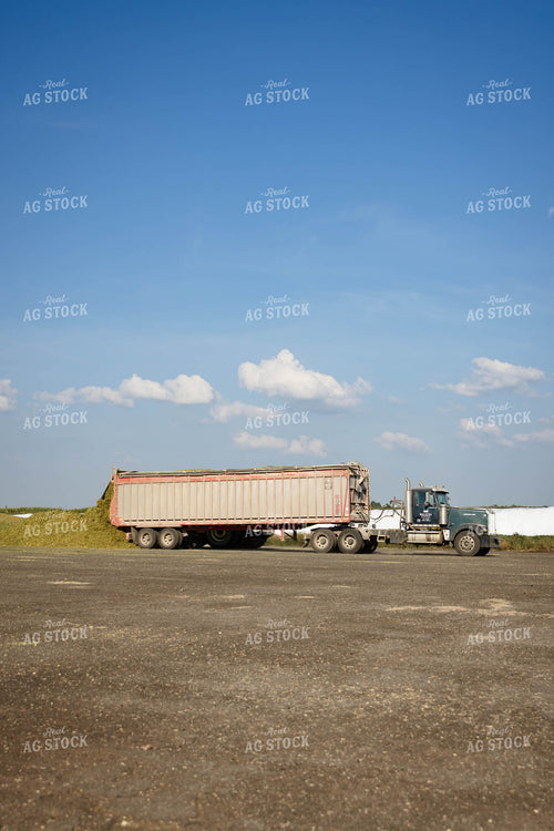 Unloading Silage 152954