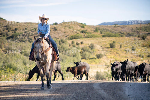 Cowgirl on Cattle Drive 117389