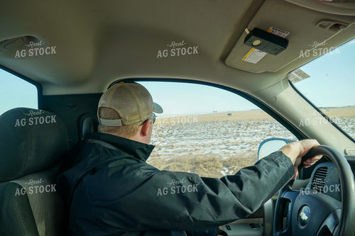 Farmer Checking Cattle in Truck 65072