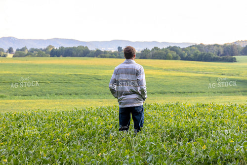 Farmer in Midseason Soybean Field 52613