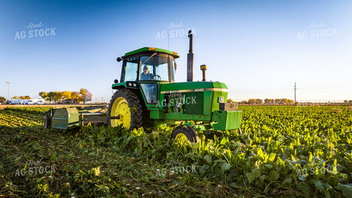 Defoliating Sugar Beets 56569