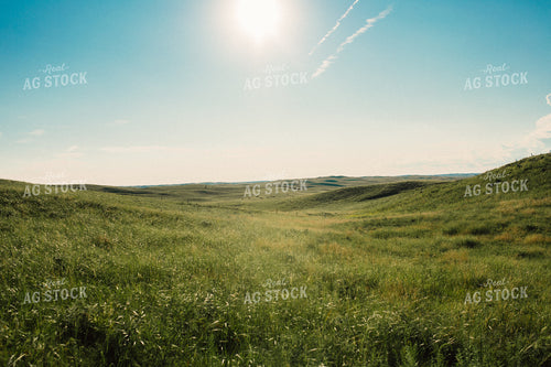 Sand Hills Pasture 53040