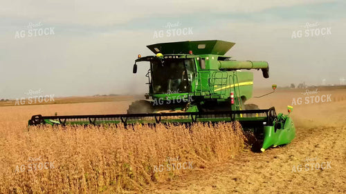 Soybean Harvest 287027