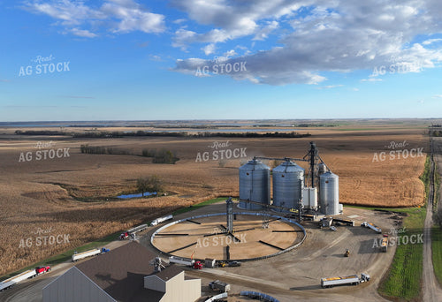 Grain Elevator 141498
