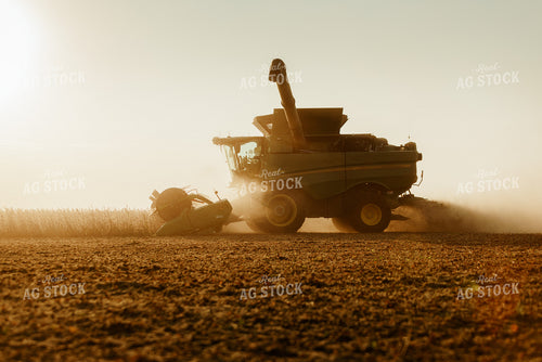 Soybean Harvest 9240