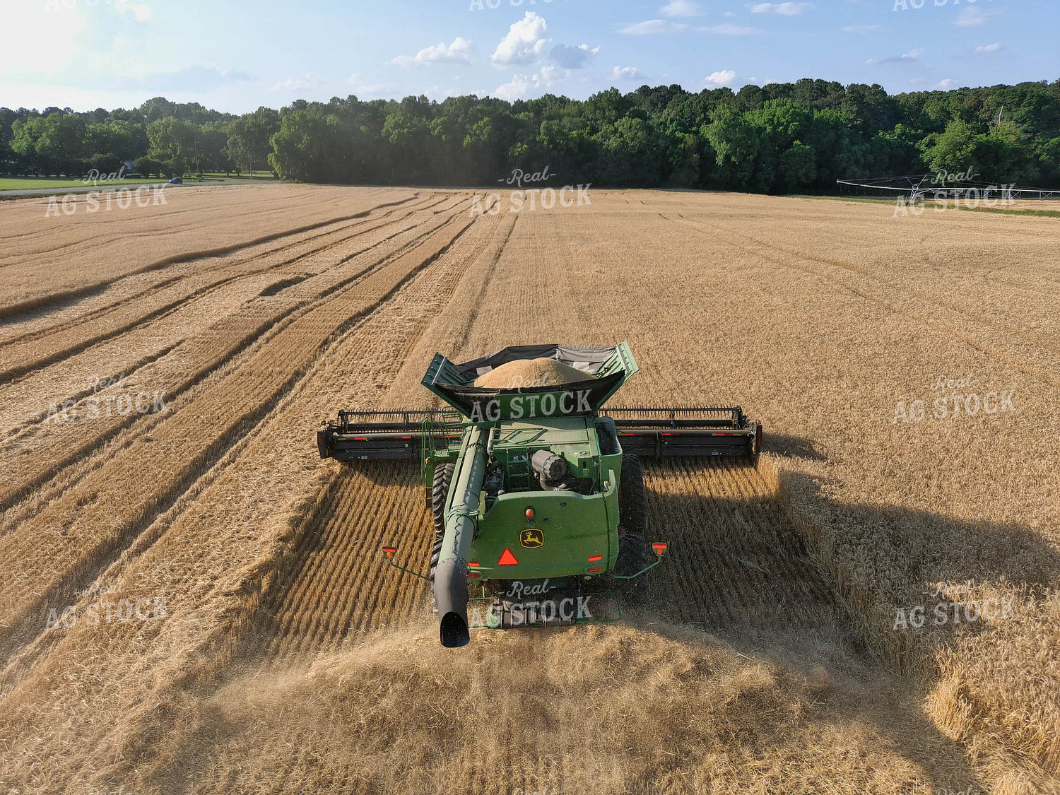 Combining Wheat 79022