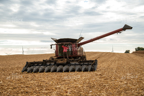 Farmer on Combine at Corn Harvest 26022