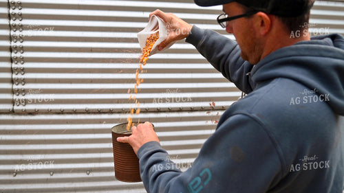Farmer Testing Corn Moisture On-farm Storage 25616