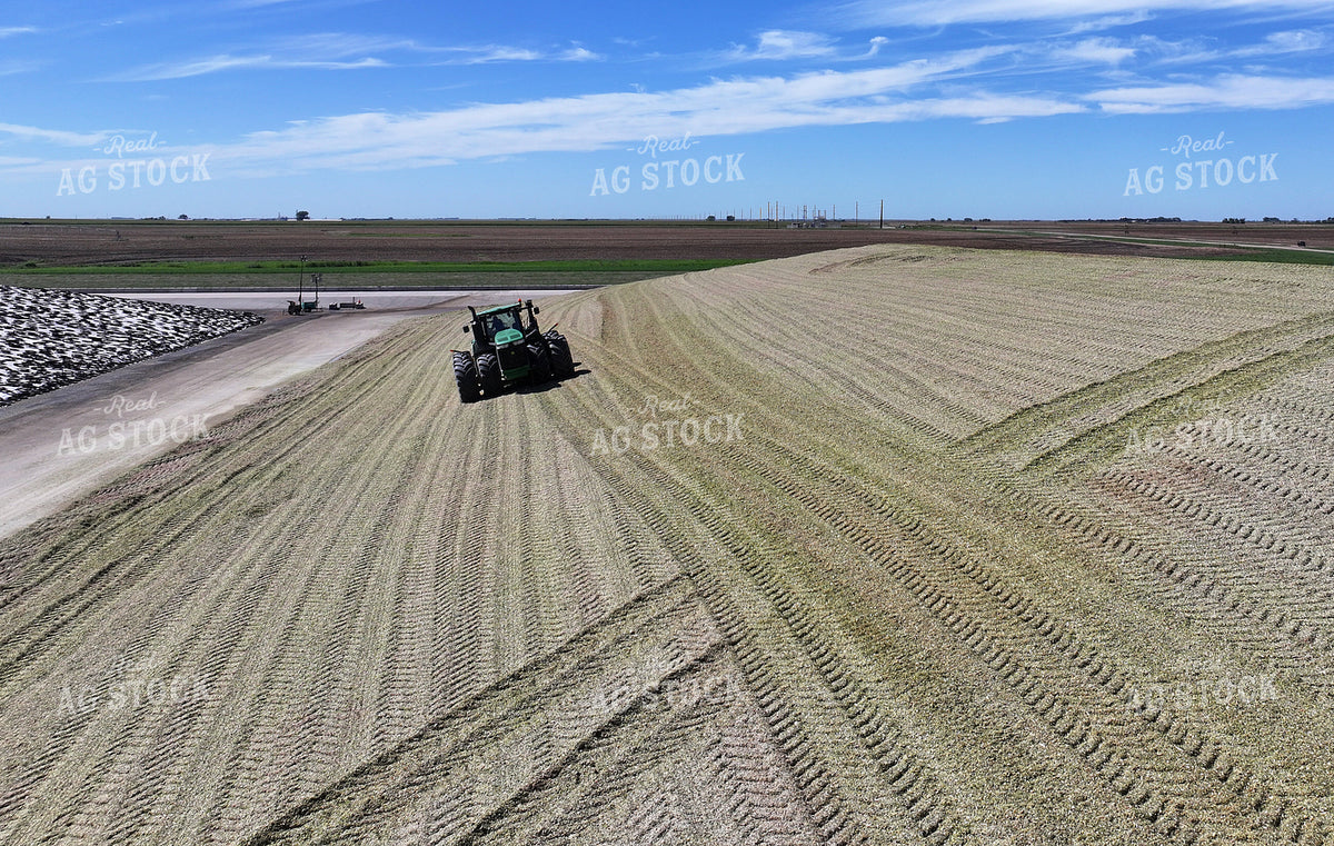 Silage Piles at Dairy Farm 141791
