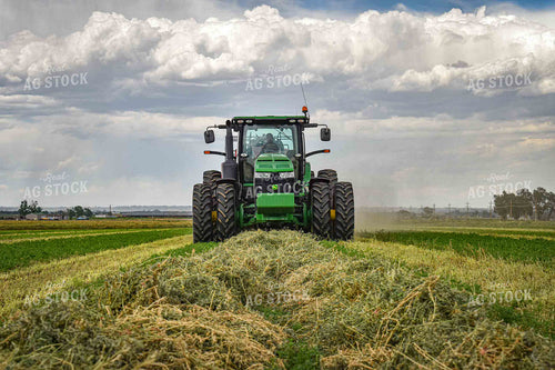 Baling Alfalfa 56077