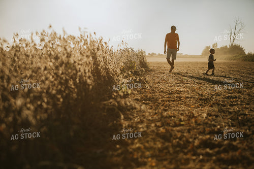 Farmer and Son Walking Along Half Harvested Soybean Field 4787