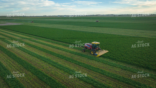 Cutting Alfalfa Hay Drone 56336