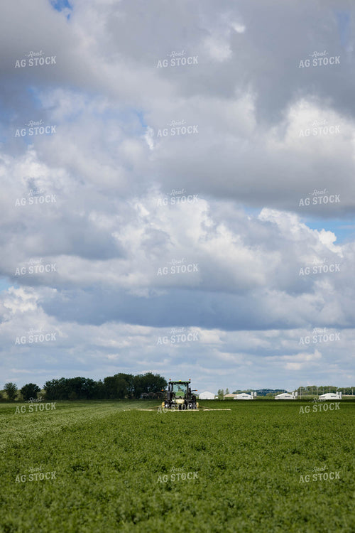 Mowing Hay 152429