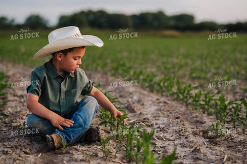 Farm Kid in Cornfield 115312