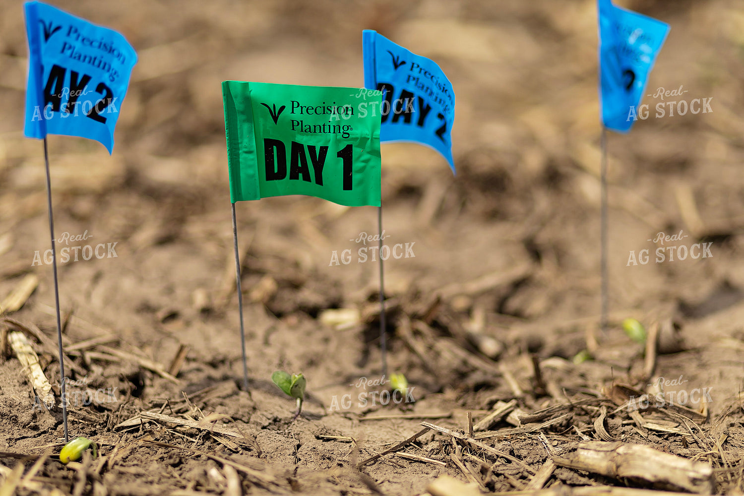 Precision Planting Emergence Flags 93319