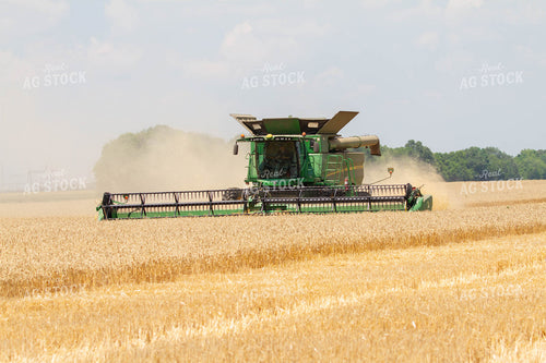Wheat Harvest 79069