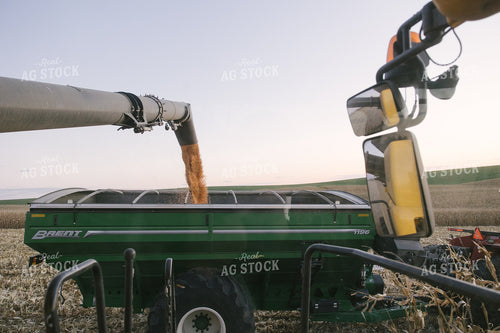 Nebraska Corn Harvest 70015