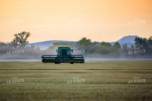 Combine in Wheat Field 81082