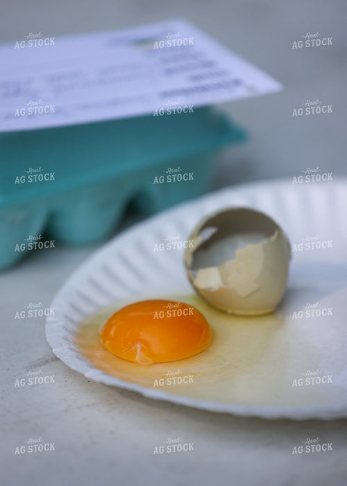 Showing Eggs 160135