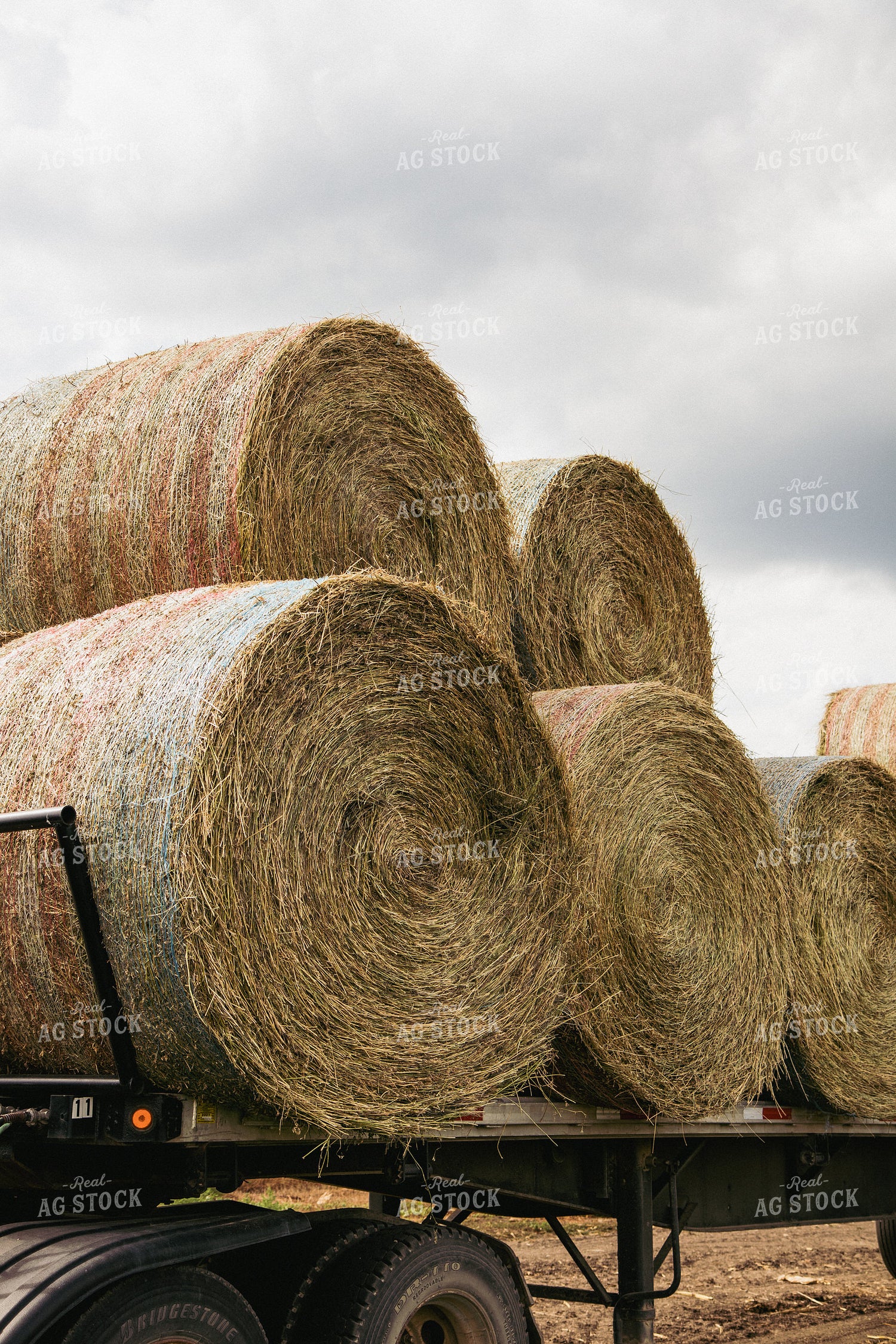 Round Bales on a Trailer 67402