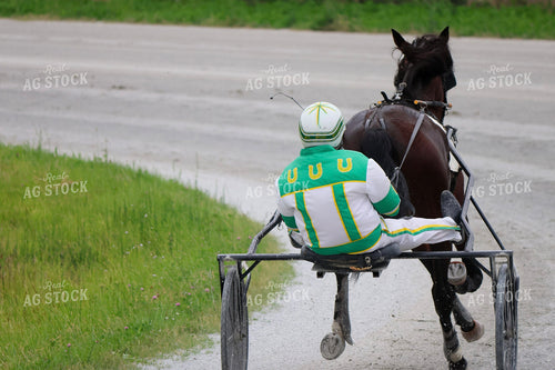 Harness Racing 109133