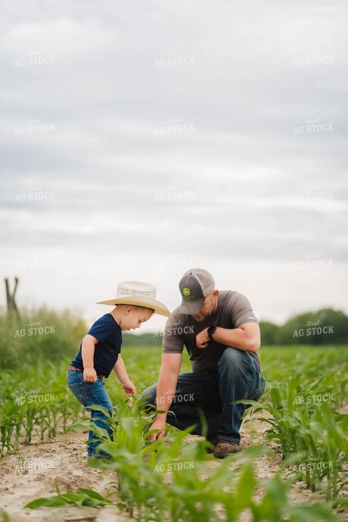 Farmer and Farm Kid Looking at Corn 115006