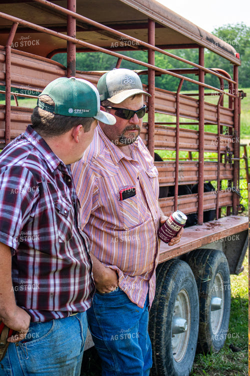 Ranchers Working Cattle 214219