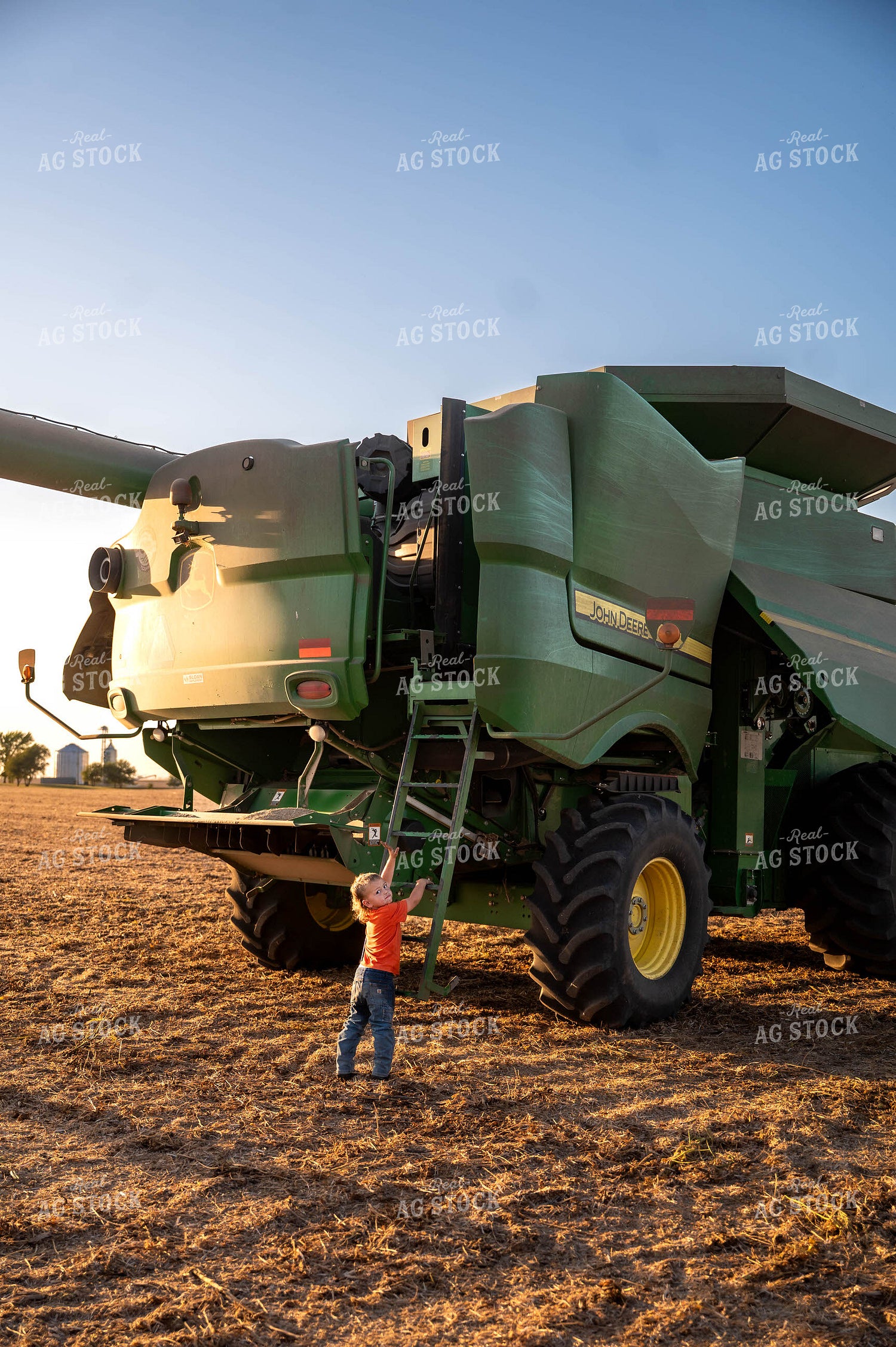 Farm Family at Soybean Harvest 115854