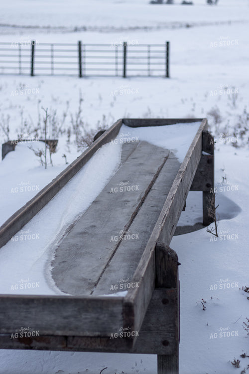 Cattle Trough 67181