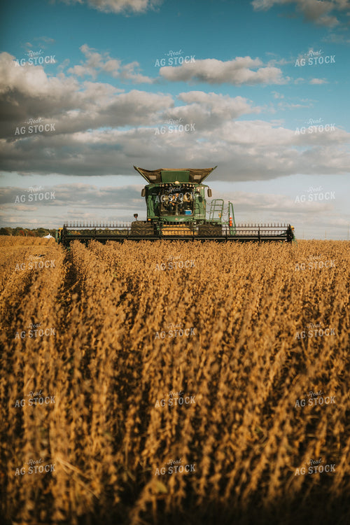 Soybean Harvest 6869