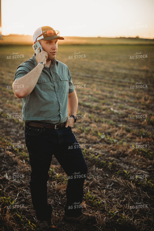 Farmer Agronomist Talking on Phone in Corn and Triticale Cover Crop Field 5920