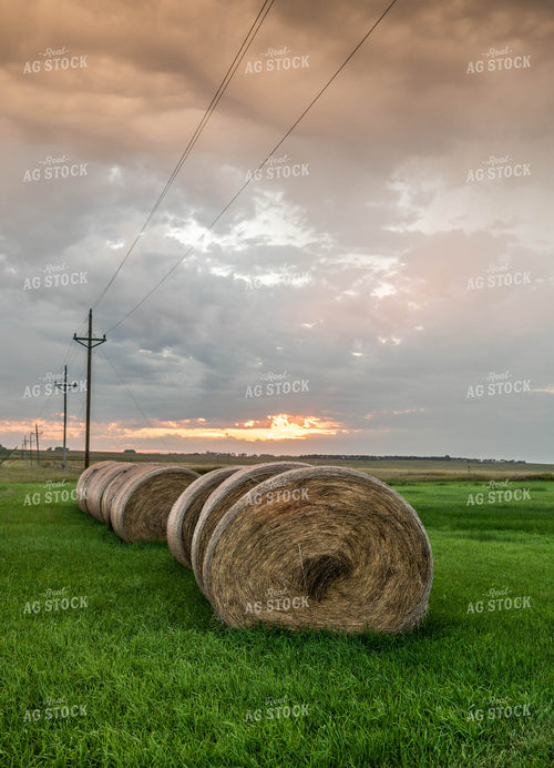 Hay Bales 185080