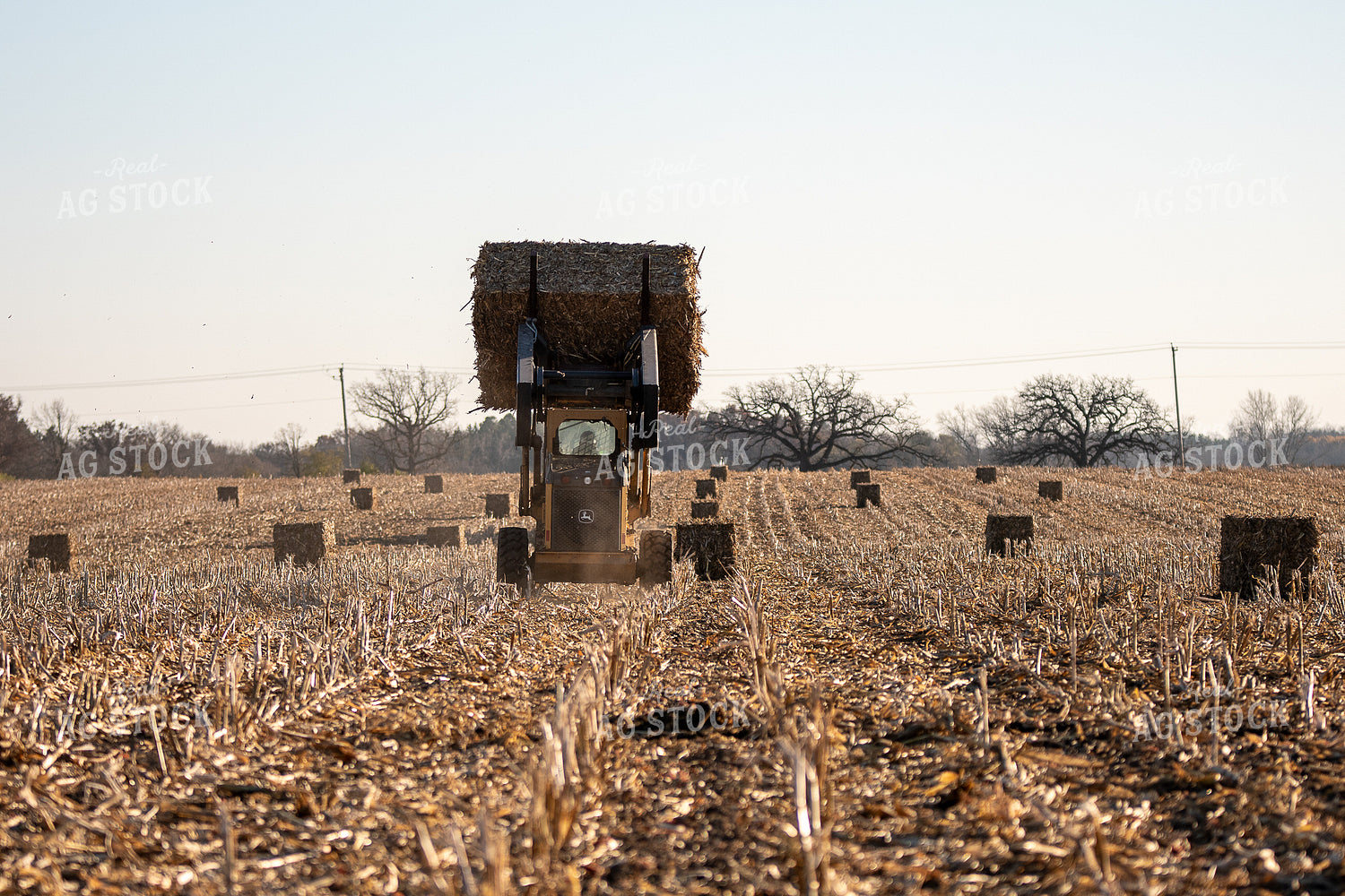 Loading Corn Bales 50451