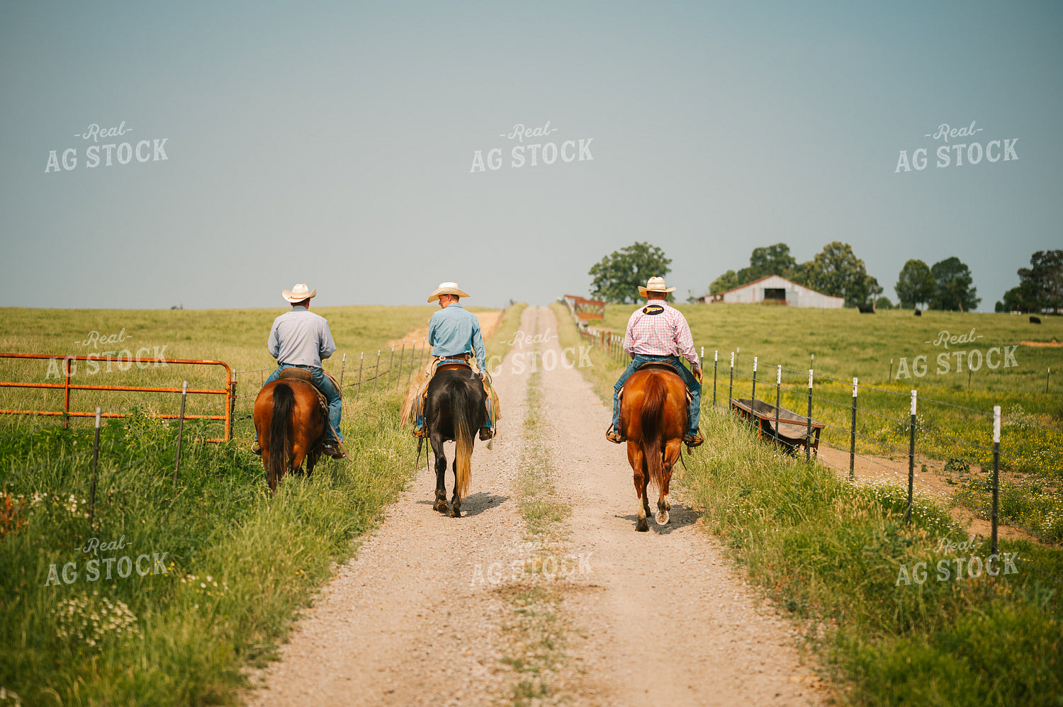 Ranchers Ride Horses on Country Road 125141