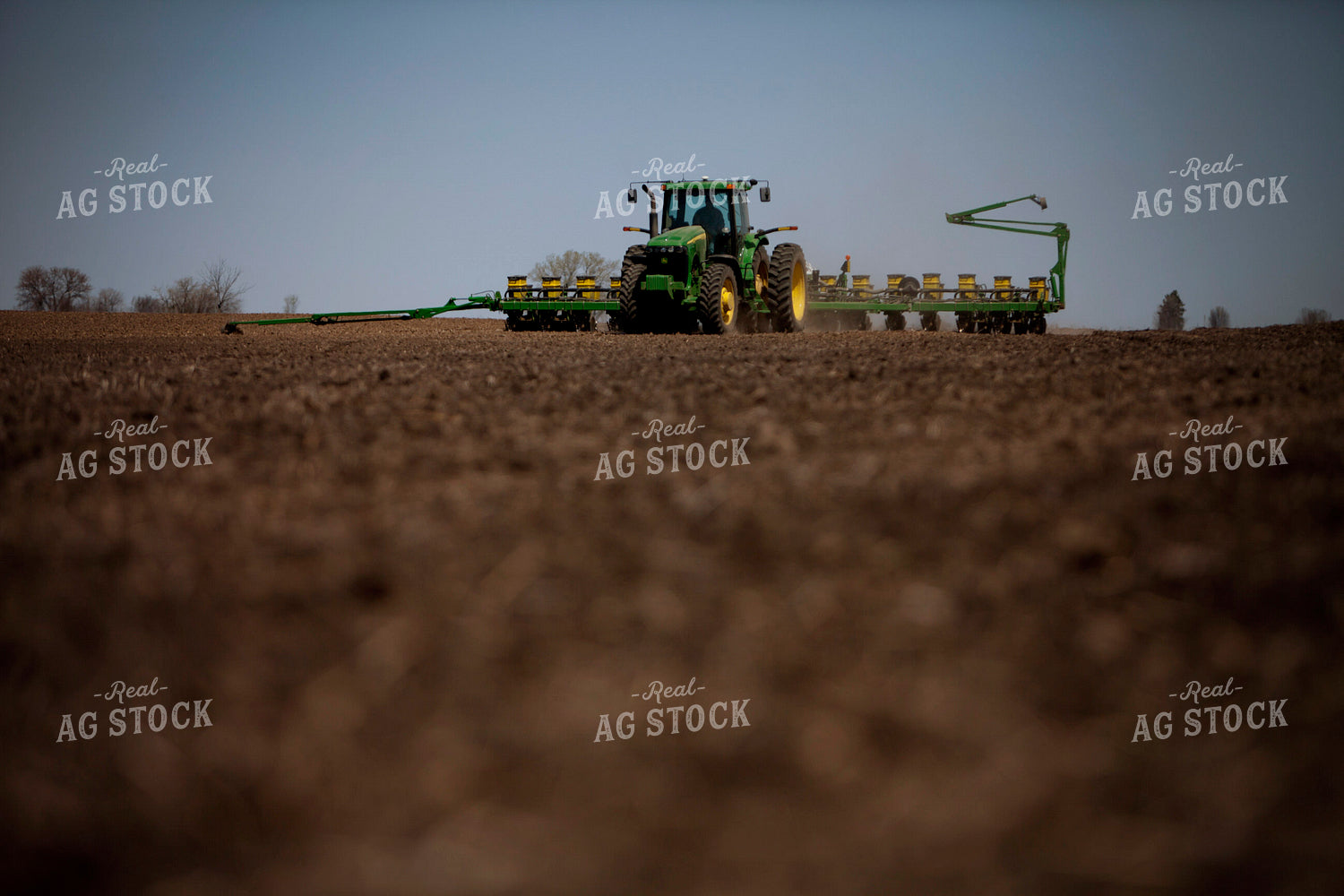 Planting 1986