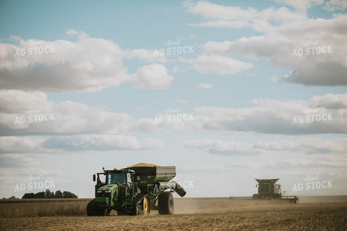 Soybean Harvest 6863
