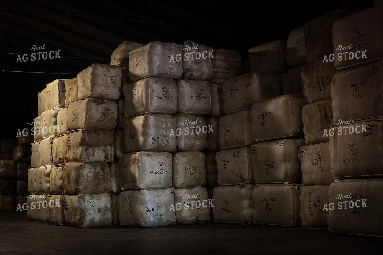 Wool Bales 261136