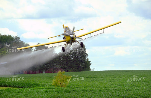 Crop Duster Spraying Soybean Field 154096