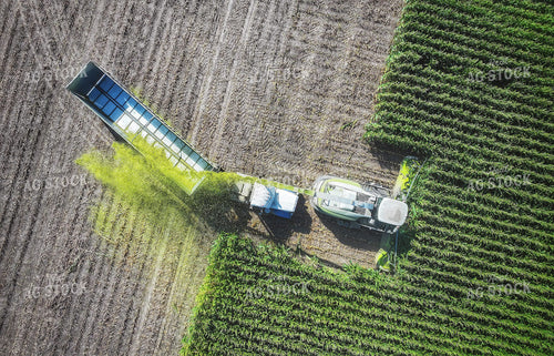 Aerial of Corn Silage Harvest 141399