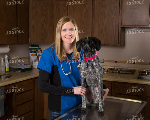 Small Animal Vet 161134