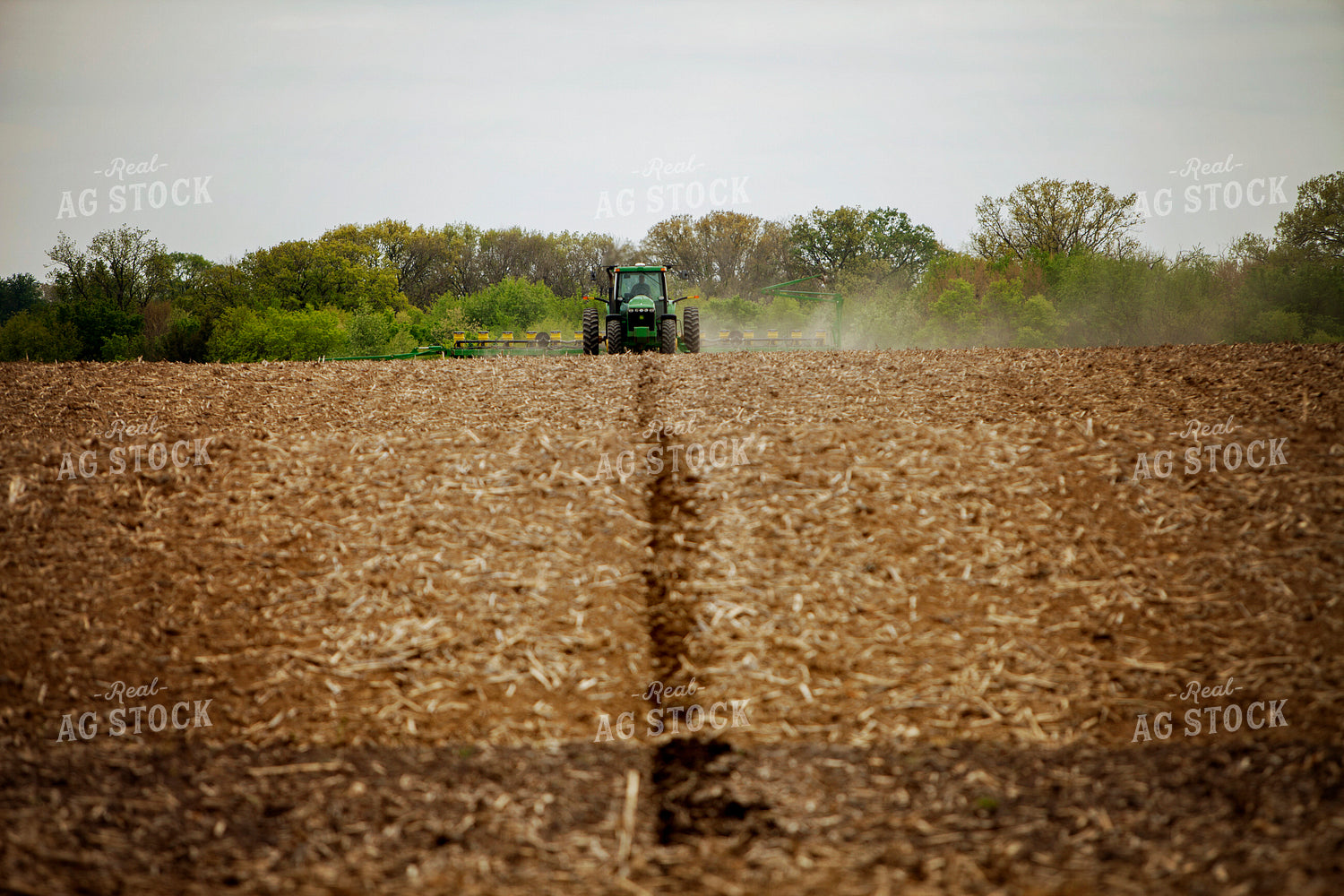 Planting 1980