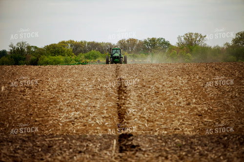 Planting 1980