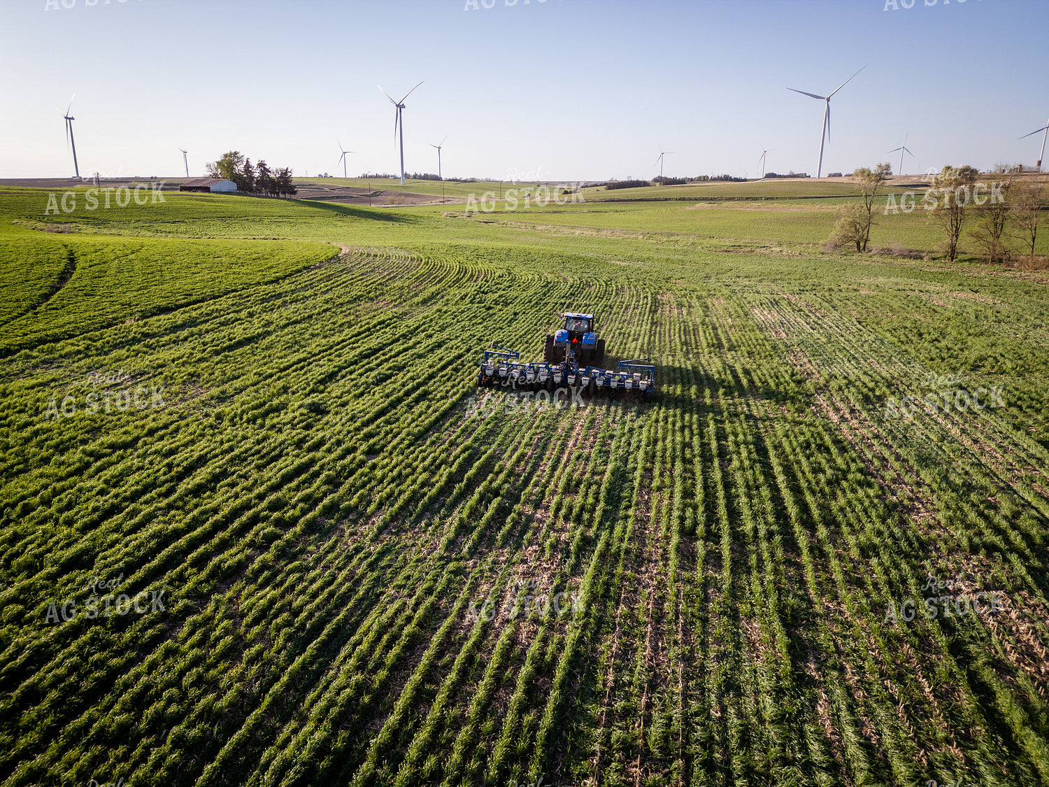 Planting into Cover Crop 268315
