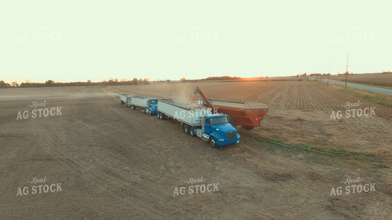Unloading Corn into Semi 85054